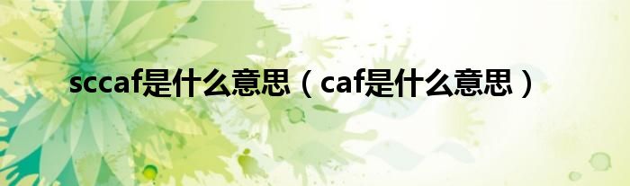 sccaf是什么意思（caf是什么意思）