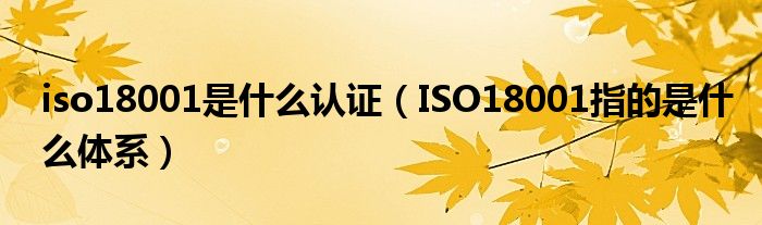 iso18001是什么认证（ISO18001指的是什么体系）