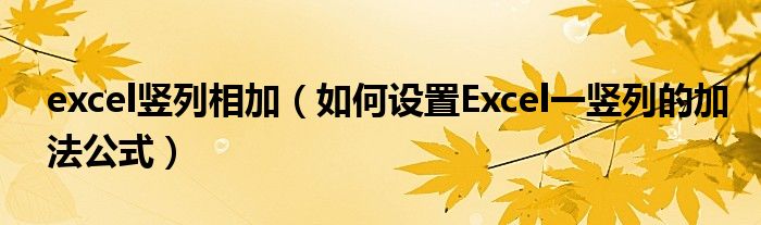 excel竖列相加（如何设置Excel一竖列的加法公式）