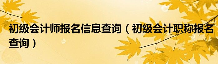 初级会计师报名信息查询（初级会计职称报名查询）