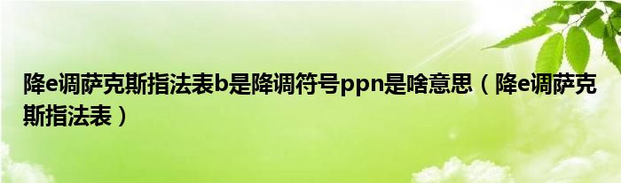 降e调萨克斯指法表b是降调符号ppn是啥意思（降e调萨克斯指法表）