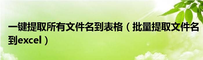 一键提取所有文件名到表格（批量提取文件名到excel）