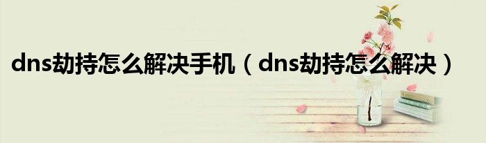 dns劫持怎么解决手机（dns劫持怎么解决）