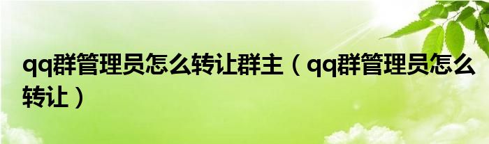 qq群管理员怎么转让群主（qq群管理员怎么转让）