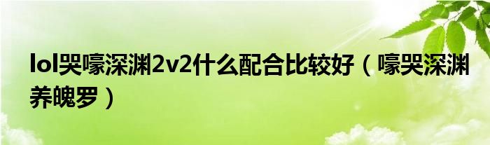 lol哭嚎深渊2v2什么配合比较好（嚎哭深渊养魄罗）