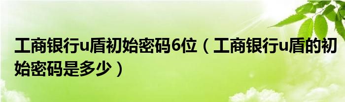 工商银行u盾初始密码6位（工商银行u盾的初始密码是多少）