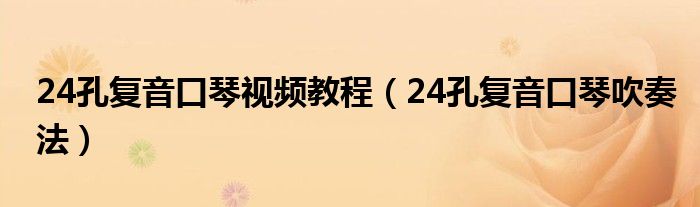 24孔复音口琴视频教程（24孔复音口琴吹奏法）