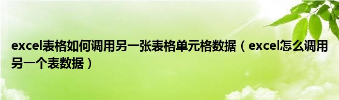 excel表格如何调用另一张表格单元格数据（excel怎么调用另一个表数据）