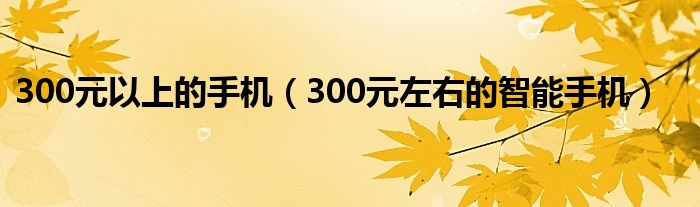 300元以上的手机（300元左右的智能手机）