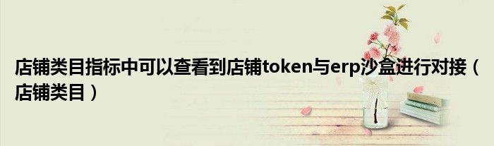 店铺类目指标中可以查看到店铺token与erp沙盒进行对接（店铺类目）