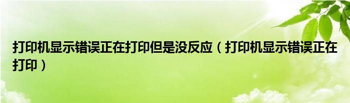 打印机显示错误正在打印但是没反应（打印机显示错误正在打印）