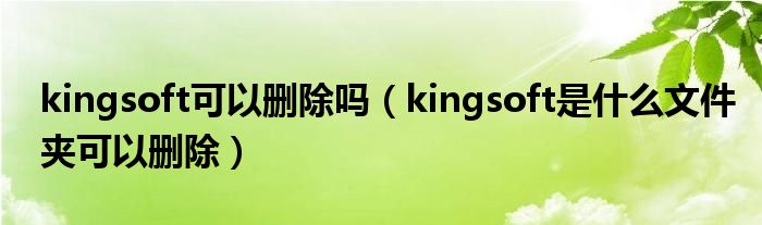 kingsoft可以删除吗（kingsoft是什么文件夹可以删除）