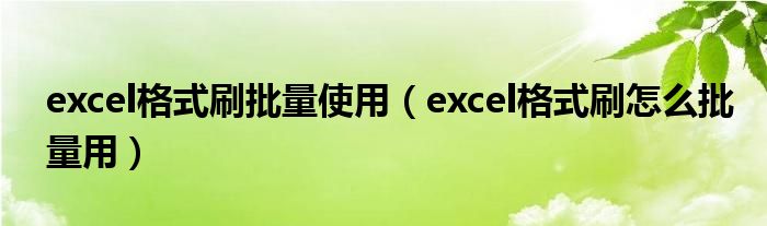 excel格式刷批量使用（excel格式刷怎么批量用）