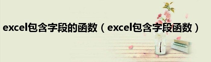 excel包含字段的函数（excel包含字段函数）