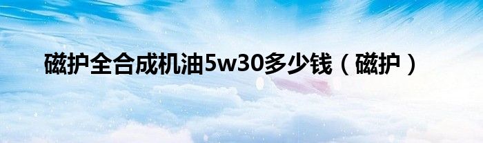 磁护全合成机油5w30多少钱（磁护）