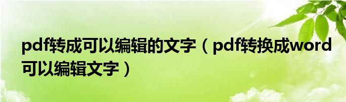 pdf转成可以编辑的文字（pdf转换成word可以编辑文字）