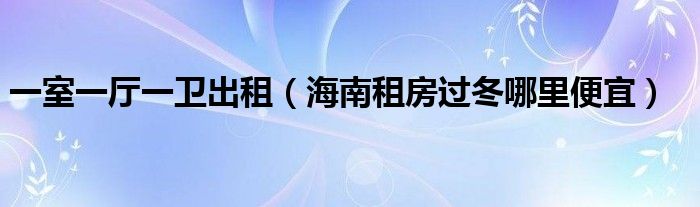 一室一厅一卫出租（海南租房过冬哪里便宜）