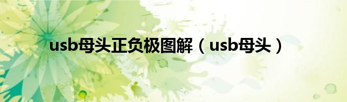 usb母头正负极图解（usb母头）