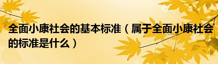 全面小康社会的基本标准（属于全面小康社会的标准是什么）