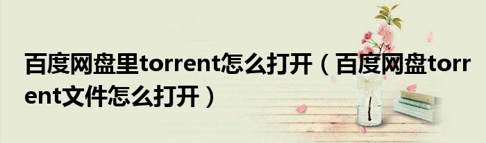 百度网盘里torrent怎么打开（百度网盘torrent文件怎么打开）