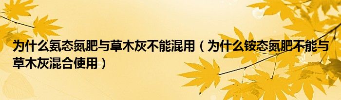 为什么氨态氮肥与草木灰不能混用（为什么铵态氮肥不能与草木灰混合使用）