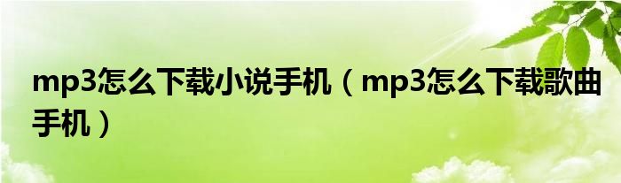 mp3怎么下载小说手机（mp3怎么下载歌曲手机）