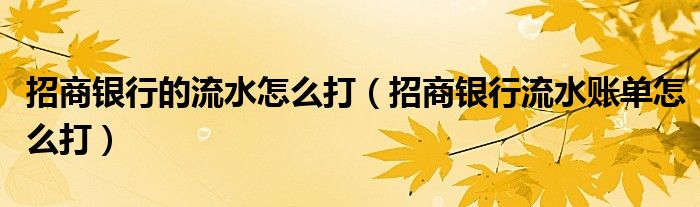 招商银行的流水怎么打（招商银行流水账单怎么打）