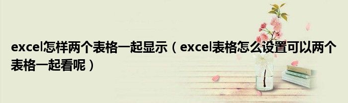 excel怎样两个表格一起显示（excel表格怎么设置可以两个表格一起看呢）