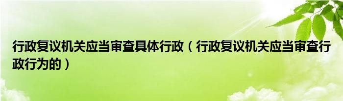 行政复议机关应当审查具体行政（行政复议机关应当审查行政行为的）