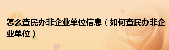 怎么查民办非企业单位信息（如何查民办非企业单位）