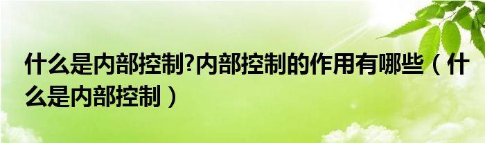 什么是内部控制?内部控制的作用有哪些（什么是内部控制）