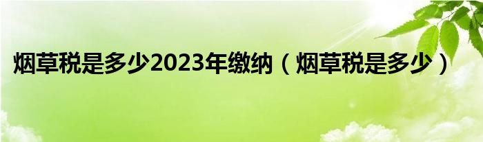 烟草税是多少2023年缴纳（烟草税是多少）