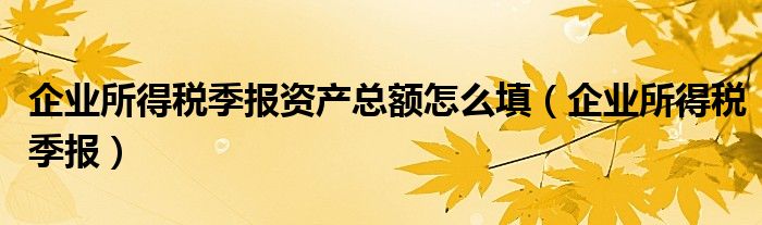 企业所得税季报资产总额怎么填（企业所得税季报）