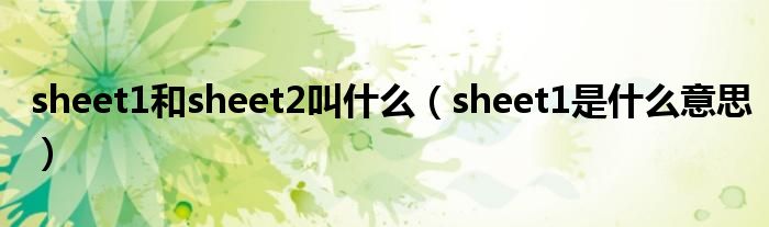 sheet1和sheet2叫什么（sheet1是什么意思）