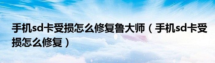 手机sd卡受损怎么修复鲁大师（手机sd卡受损怎么修复）