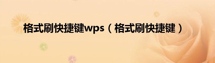 格式刷快捷键wps（格式刷快捷键）