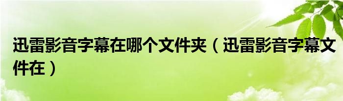 迅雷影音字幕在哪个文件夹（迅雷影音字幕文件在）