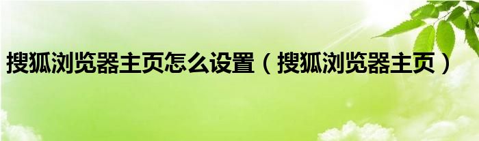 搜狐浏览器主页怎么设置（搜狐浏览器主页）