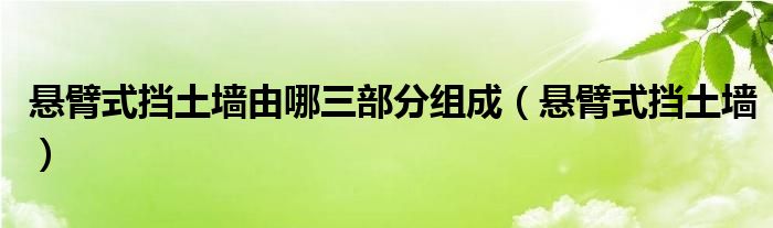 悬臂式挡土墙由哪三部分组成（悬臂式挡土墙）