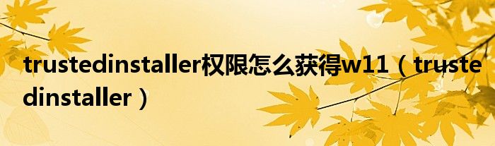 trustedinstaller权限怎么获得w11（trustedinstaller）