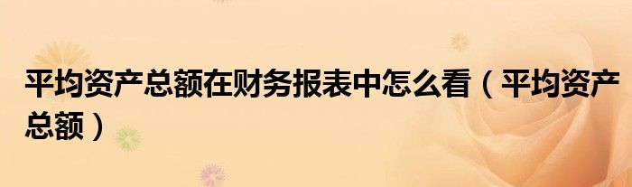 平均资产总额在财务报表中怎么看（平均资产总额）