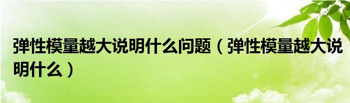 弹性模量越大说明什么问题（弹性模量越大说明什么）