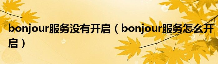 bonjour服务没有开启（bonjour服务怎么开启）