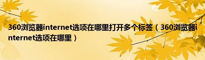 360浏览器internet选项在哪里打开多个标签（360浏览器internet选项在哪里）