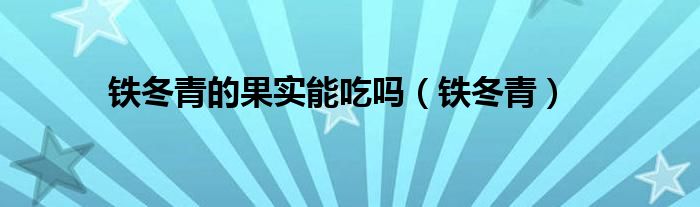 铁冬青的果实能吃吗（铁冬青）