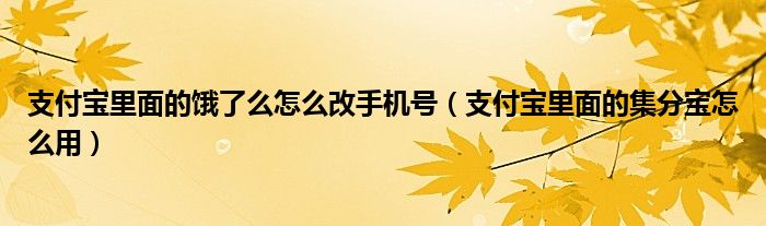 支付宝里面的饿了么怎么改手机号（支付宝里面的集分宝怎么用）