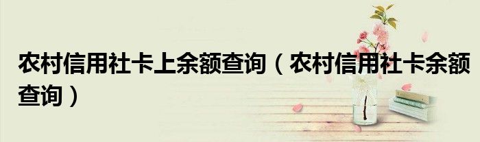 农村信用社卡上余额查询（农村信用社卡余额查询）