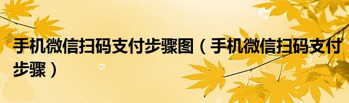 手机微信扫码支付步骤图（手机微信扫码支付步骤）