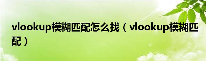 vlookup模糊匹配怎么找（vlookup模糊匹配）