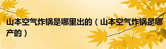 山本空气炸锅是哪里出的（山本空气炸锅是哪产的）